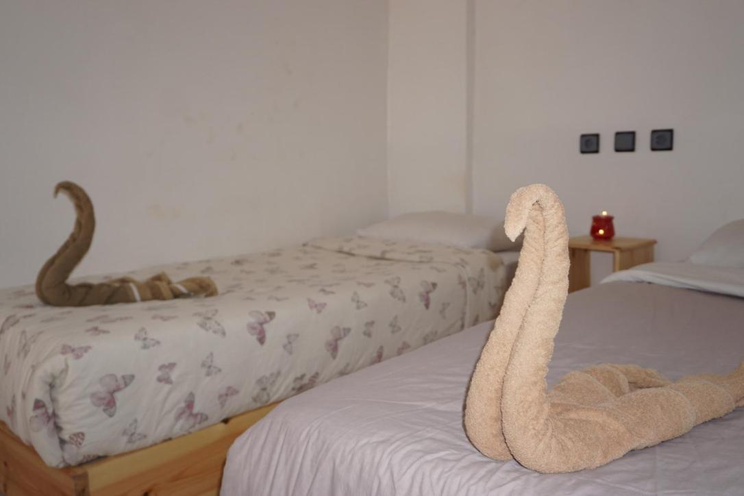 Hostel The Endless House Anchor Point Taghazout